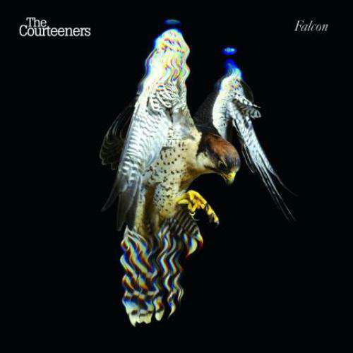 Cover for Courteeners · Falcon: Deluxe Edition (CD)