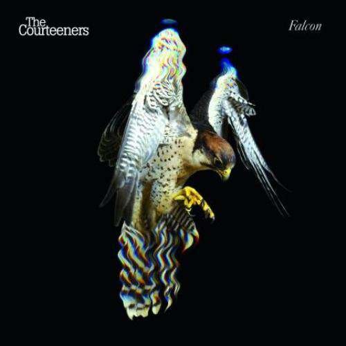 Cover for Courteeners · Falcon: Deluxe Edition (CD)