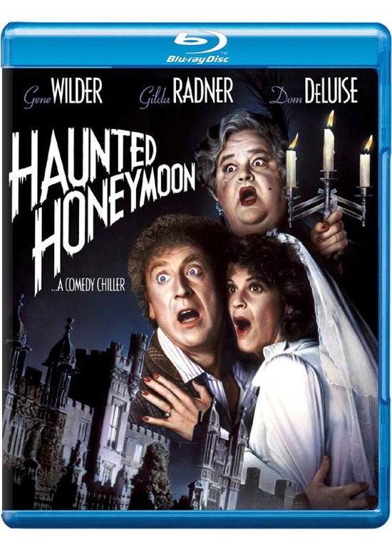 Cover for Haunted Honeymoon (Blu-ray) (2016)