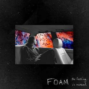 Cover for Foam · Feeling is Mutual (CD) (2015)