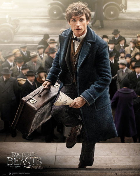 Cover for Fantastic Beasts · Fantastic Beasts: Newt Scamander (Poster Mini 40x50 Cm) (MERCH)