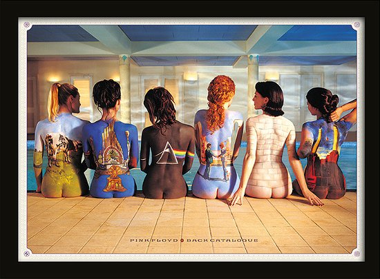 Back Catalogue (Stampa In Cornice 30X40 Cm) - Pink Floyd - Marchandise -  - 5050293962283 - 