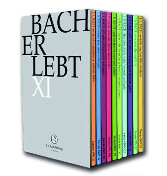 Bach Erlebt XI - J.S.Bach-Stiftung / Lutz,Rudolf - Movies - J.S. Bach-Stiftung - 7640151162283 - June 22, 2018