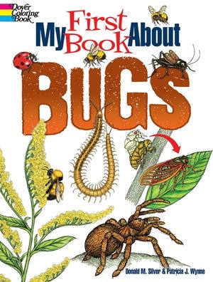 Cover for Patricia Wynne · My First Book About Bugs - Dover Coloring Books (Paperback Book) (2023)