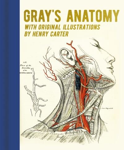 Gray's Anatomy: With Original Illustrations by Henry Carter - Arcturus Gilded Classics - Henry Gray - Books - Arcturus Publishing Ltd - 9781398819283 - November 30, 2022