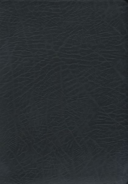 Cover for John Macarthur · Macarthur Study Bible-nasb-large Print (Leather Book) [Large Print edition] [Black Bonded] (2010)