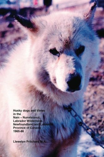 Cover for Llewelyn Pritchard M.a. · Husky Dogs and Views in the Nain - Nunatsiavut, Labrador Wilderness, Newfoundland and Labrador Province of Canada 1965-66: Cover Photograph: Husky Dog ... Courtesy of John Penny) (Photo Albums) (Paperback Bog) (2011)