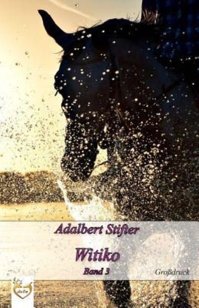 Cover for Adalbert Stifter · Witiko (Gro druck) (Paperback Bog) (2017)