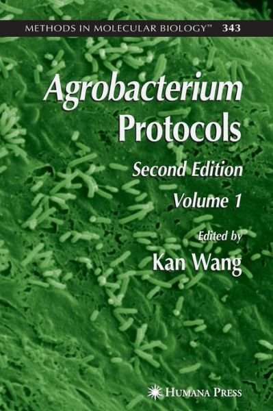 Cover for Kan Wang · Agrobacterium Protocols: Volume I - Methods in Molecular Biology (Paperback Book) [Softcover reprint of hardcover 2nd ed. 2006 edition] (2010)