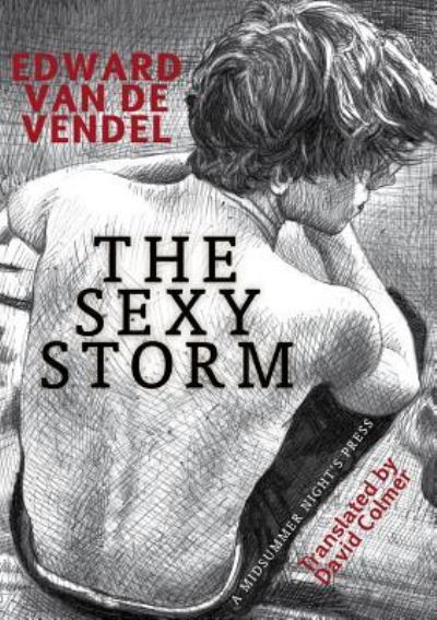 Cover for Edward van de Vendel · The Sexy Storm (Pocketbok) (2018)