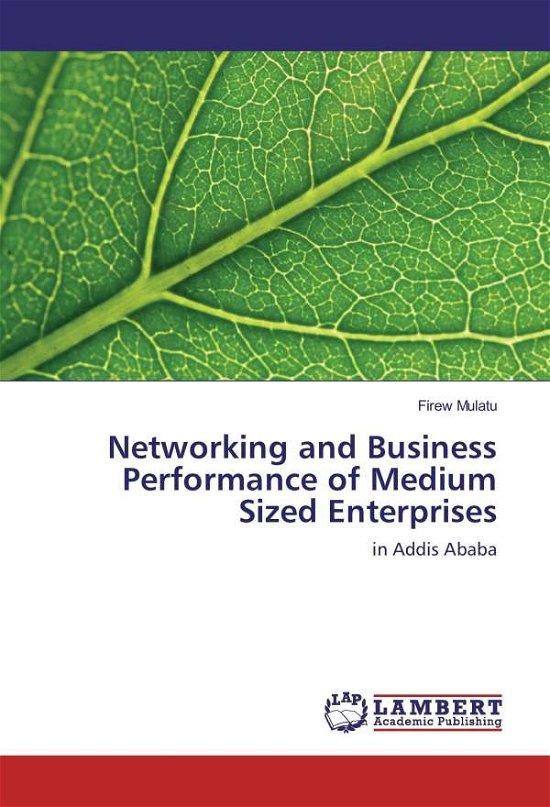 Cover for Mulatu · Networking and Business Performa (Book)