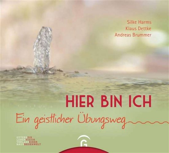 Cover for Brummer · Hier bin ich (Bok)