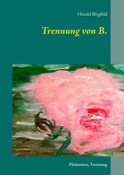Cover for Birgfeld · Trennung von B. (Book) (2017)