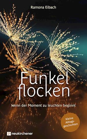 Cover for Ramona Eibach · Funkelflocken (Book) (2023)