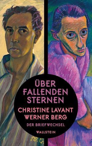 Cover for Harald Scheicher · Über fallenden Sternen (Book) (2024)