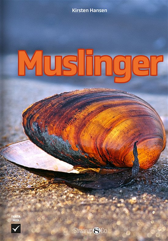 Cover for Kirsten Hansen · Midi: Muslinger (Hardcover Book) [1º edição] (2024)