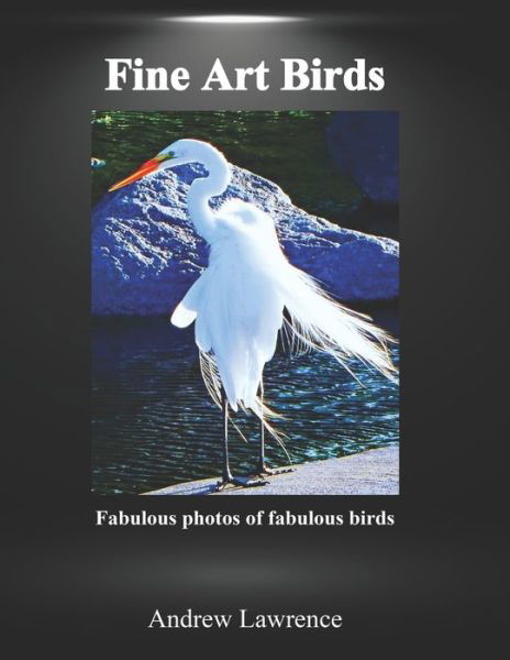 Cover for Andrew Lawrence · Fine Art Birds: Fabulous photos of fabulous birds (Paperback Book) (2022)