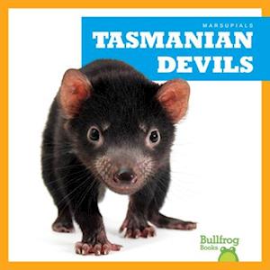 Cover for Natalie Deniston · Tasmanian Devils - Marsupials (Hardcover Book) (2025)