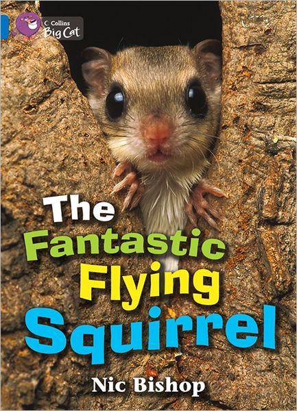 Cover for Nic Bishop · The Fantastic Flying Squirrel (Paperback Book) (2012)