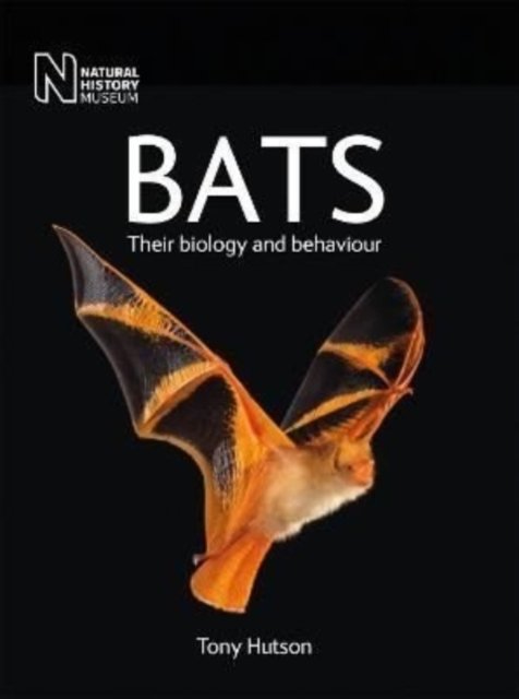 Cover for Tony Hutson · Bats: Their biology and behaviour (Paperback Book) (2022)