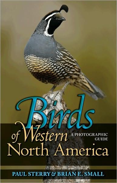 Cover for Paul Sterry · Birds of Western North America: A Photographic Guide - Princeton Field Guides (Paperback Book) (2009)