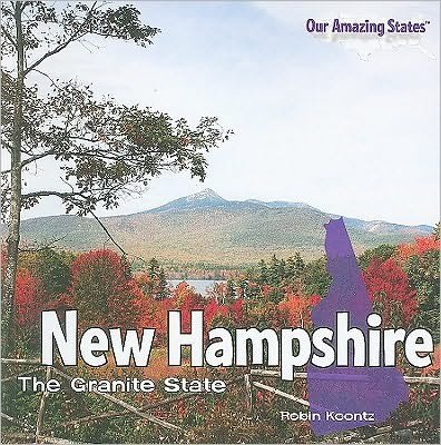 Cover for Robin Michal Koontz · New Hampshire (Taschenbuch) (2010)