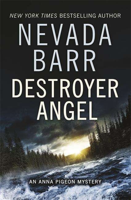 Cover for Nevada Barr · Destroyer Angel (Anna Pigeon Mysteries, Book 18): A suspenseful thriller of the American wilderness - Anna Pigeon Mysteries (Paperback Book) (2015)