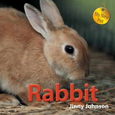 Cover for Jinny Johnson · Rabbit (My New Pet) (Inbunden Bok) (2014)
