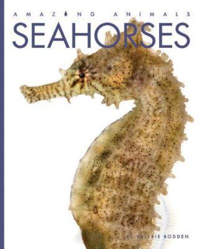 Cover for Valerie Bodden · Seahorses (Book) (2019)