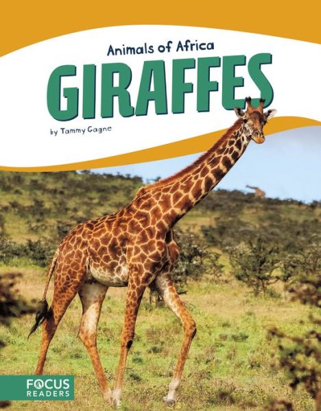 Cover for Tammy Gagne · Animals of Africa: Giraffes (Paperback Book) (2017)