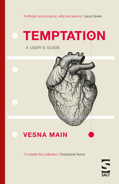 Cover for Vesna Main · Temptation: A User’s Guide - Salt Modern Fiction (Paperback Book) (2018)