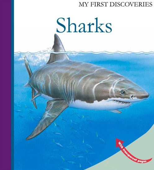 Cover for Ute Fuhr · Sharks - My First Discoveries (Hardcover Book) (2014)