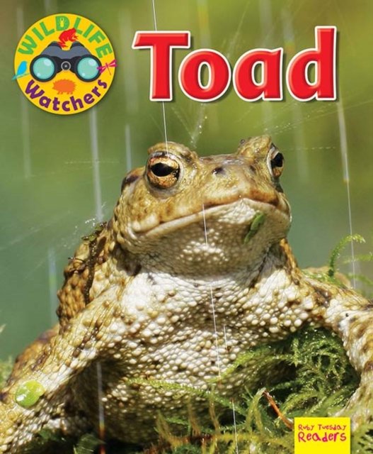 Cover for Ruth Owen · Wildlife Watchers: Toad - Ruby Tuesday Readers (Taschenbuch) (2017)