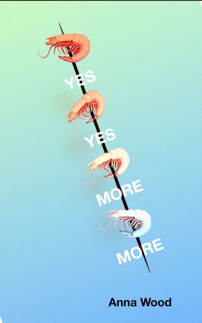 Cover for Wood, Anna (Author) · Yes Yes More More (Paperback Book) (2021)