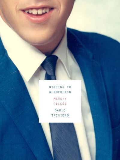 Digging to Wonderland - David Trinidad - Books - Turtle Point Press - 9781933527284 - April 26, 2022