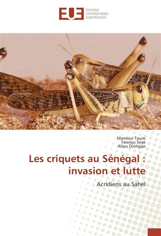Les criquets au Sénégal : invasio - Toure - Boeken -  - 9783330870284 - 
