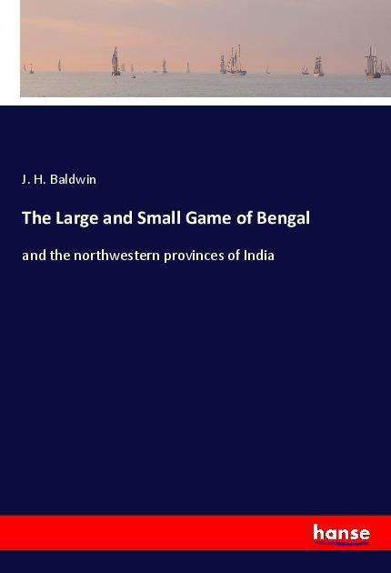 Cover for Baldwin · The Large and Small Game of Ben (Book)