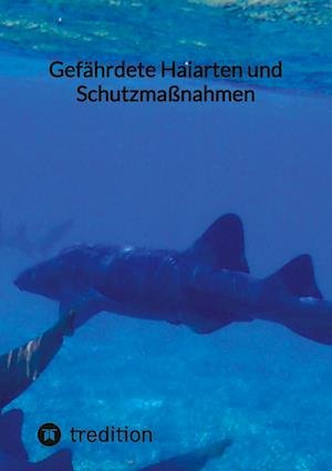 Cover for Moritz · Gefährdete Haiarten und Schutzmaßnahmen (Bog) (2023)