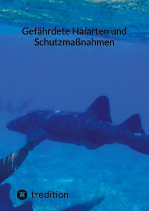 Cover for Moritz · Gefährdete Haiarten und Schutzmaßnahmen (Bog) (2023)