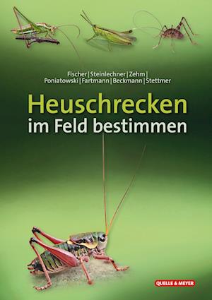 Cover for Bayerische Akademie für Naturschutz und Landschaftspflege (ANL) · Heuschrecken im Feld bestimmen (Book) (2023)