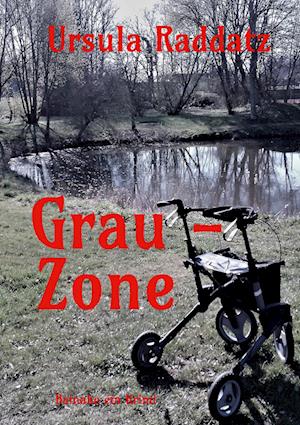Cover for Ursula Raddatz · Grau-Zone (Book) (2023)