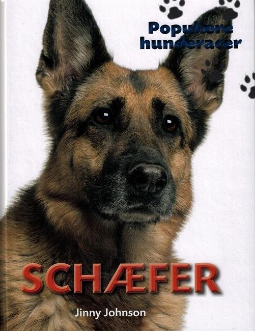 Cover for Jinny Johnson · Populære hunderacer: POPULÆRE HUNDERACER: Schæfer (Indbundet Bog) [1. udgave] (2016)