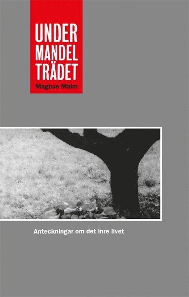 Cover for Magnus Malm · Under mandelträdet (Book) (2016)