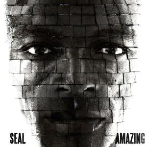 Cover for Seal · Amazing (SCD) (2007)