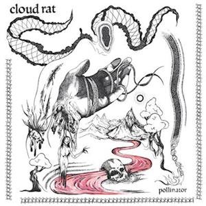 Pollinator - Cloud Rat - Música - ARTOFFACT - 0628070628285 - 31 de março de 2023