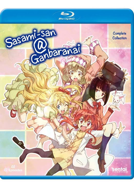 Cover for Sasami-san@ganbaranai (Blu-ray) (2015)