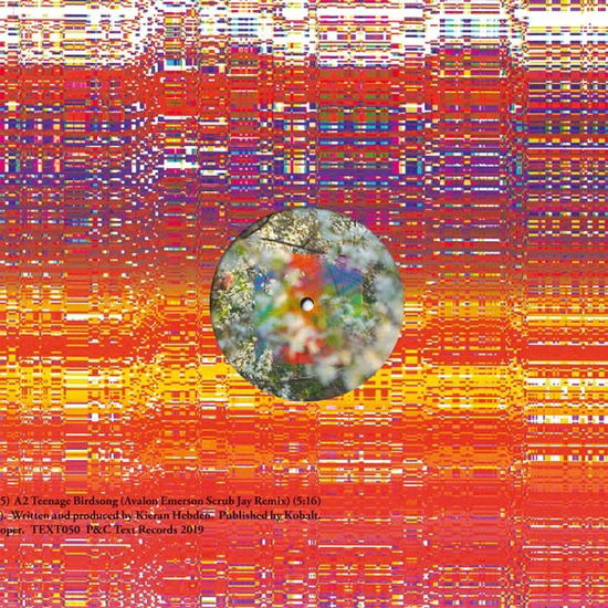 Cover for Four Tet · Teenage Birdsong (LP) (2019)