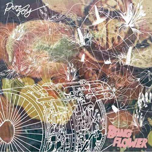 Cover for Pure Joy · Bang Flower (CD) (2016)