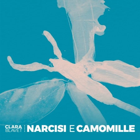 Narcisi E Camomille - Clara Blavet - Music - WORKIN'LABEL - 8052740502285 - October 7, 2022