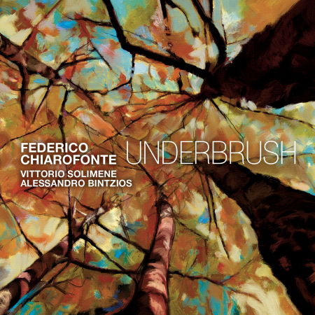 Cover for Chiarofonte Federico · Underbrush (CD) (2024)